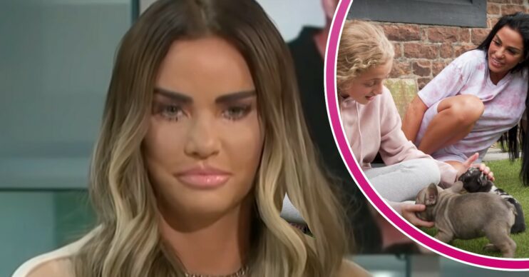 Katie price on Good Morning Britain and with daughter Princess and two dogs