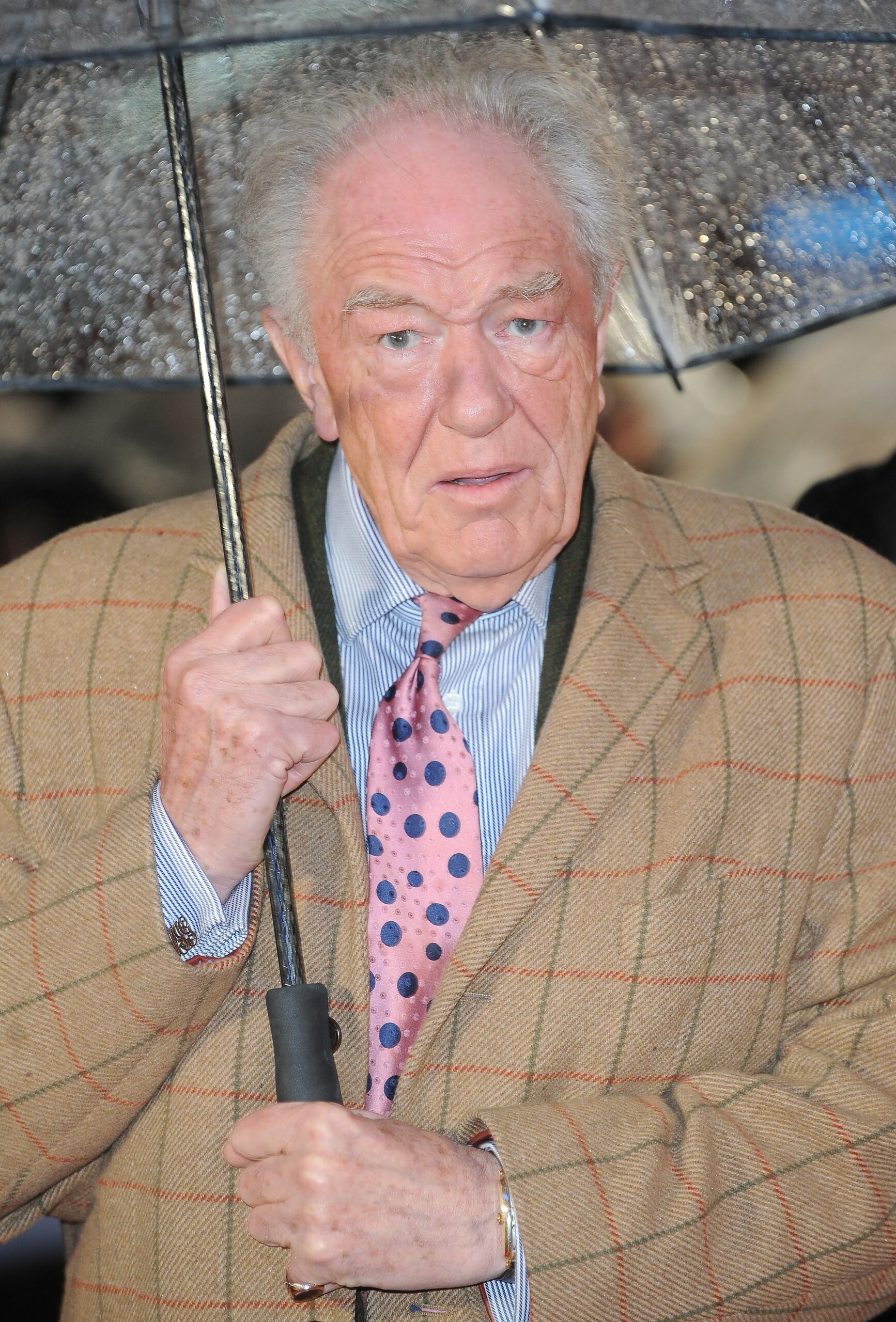 Michael Gambon looking at camera