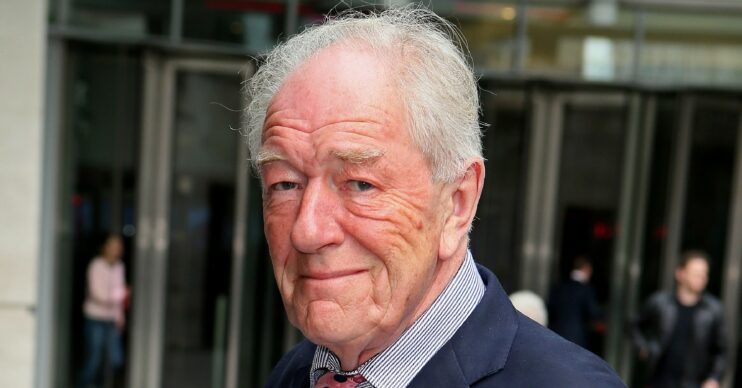 Harry Potter legend Michael Gambon smiling at camera