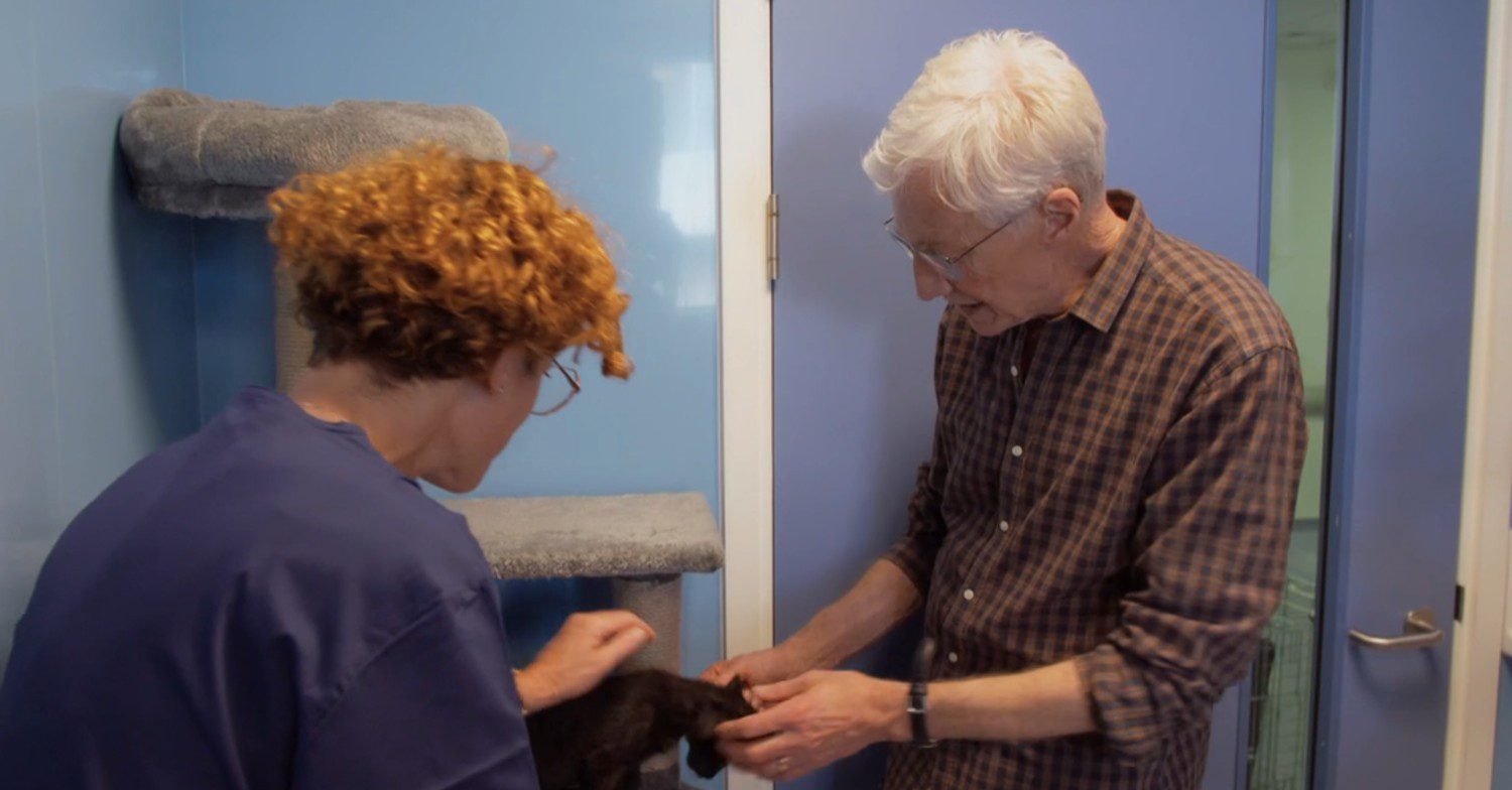 Paul O'Grady meeting kittens on For the Love of Dogs