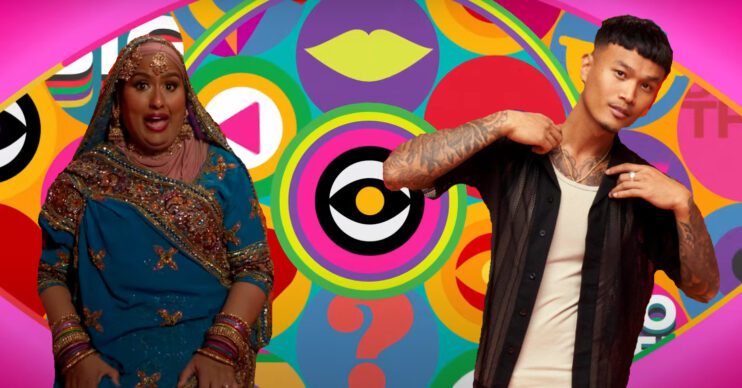 Big Brother contestants who came on TV before