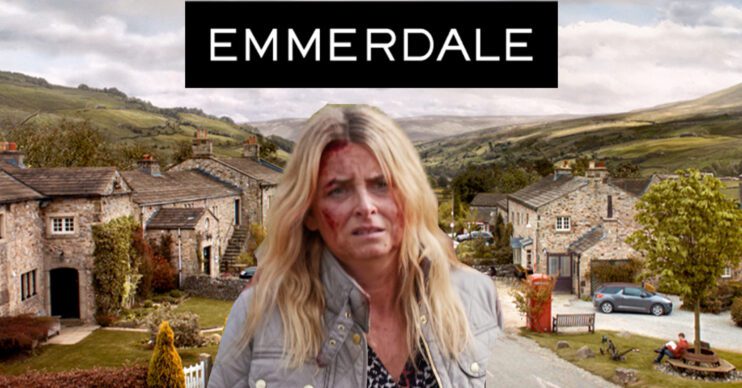 Emmerdale's Charity, the Emmerdale logo and background of the Dales