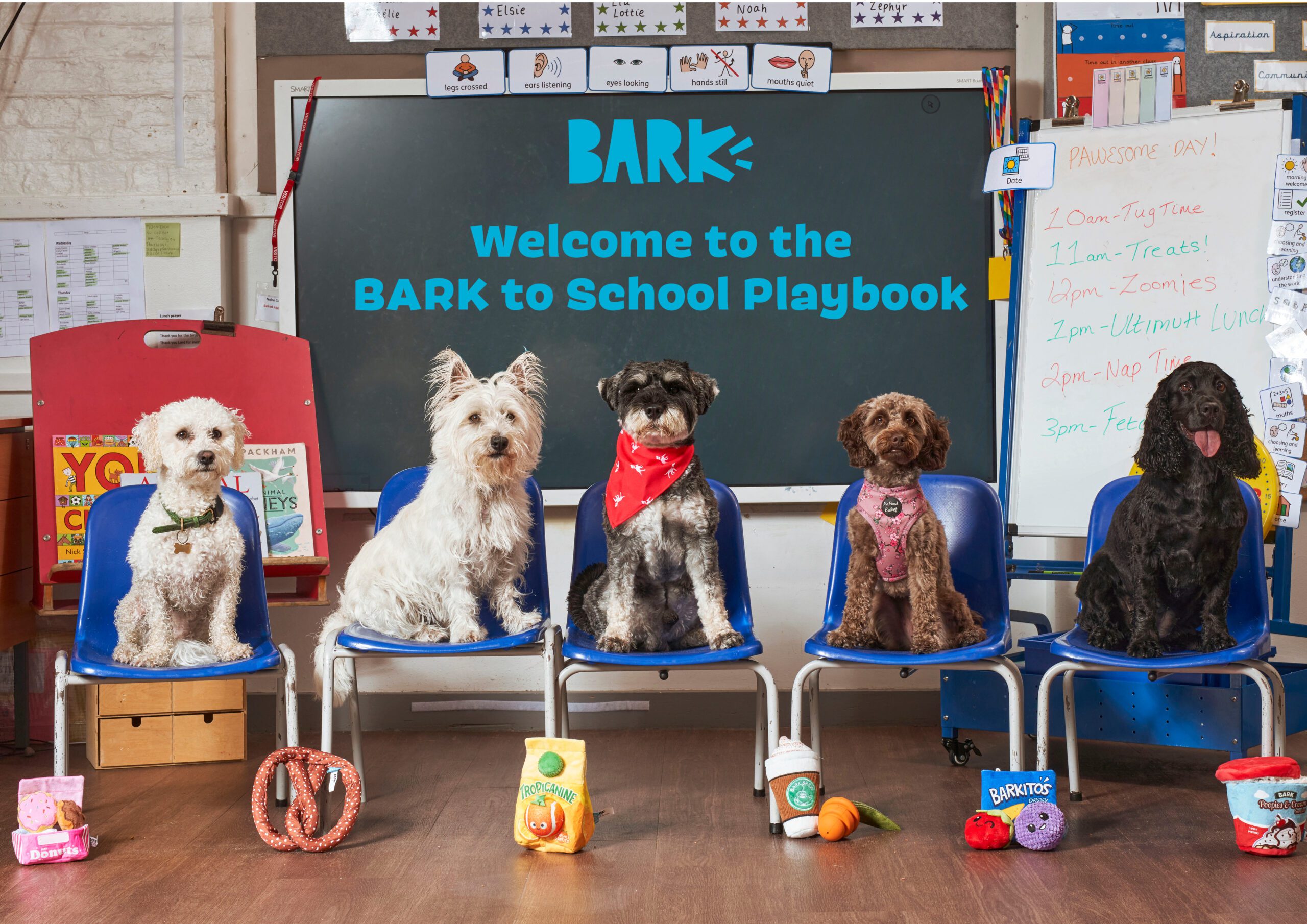 Dogs sittting in a classroom