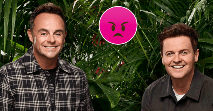 Ant and Dec in the jungle