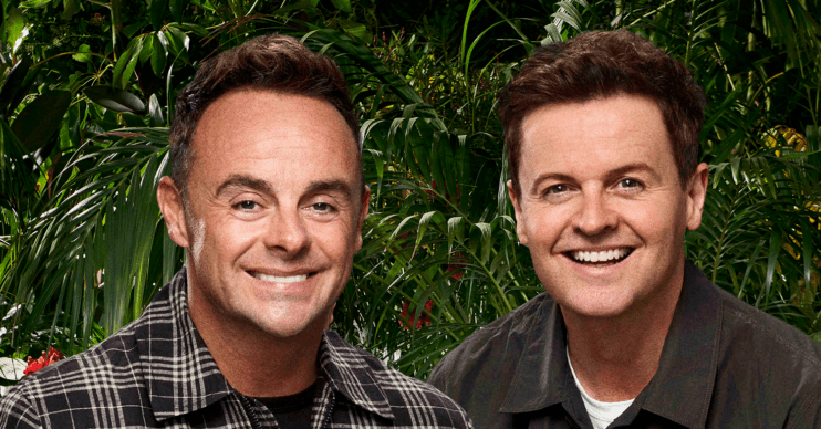 Ant and Dec smiling in the jungle