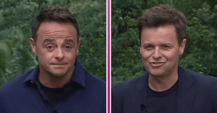 Ant and Dec hosting I'm A Celebrity