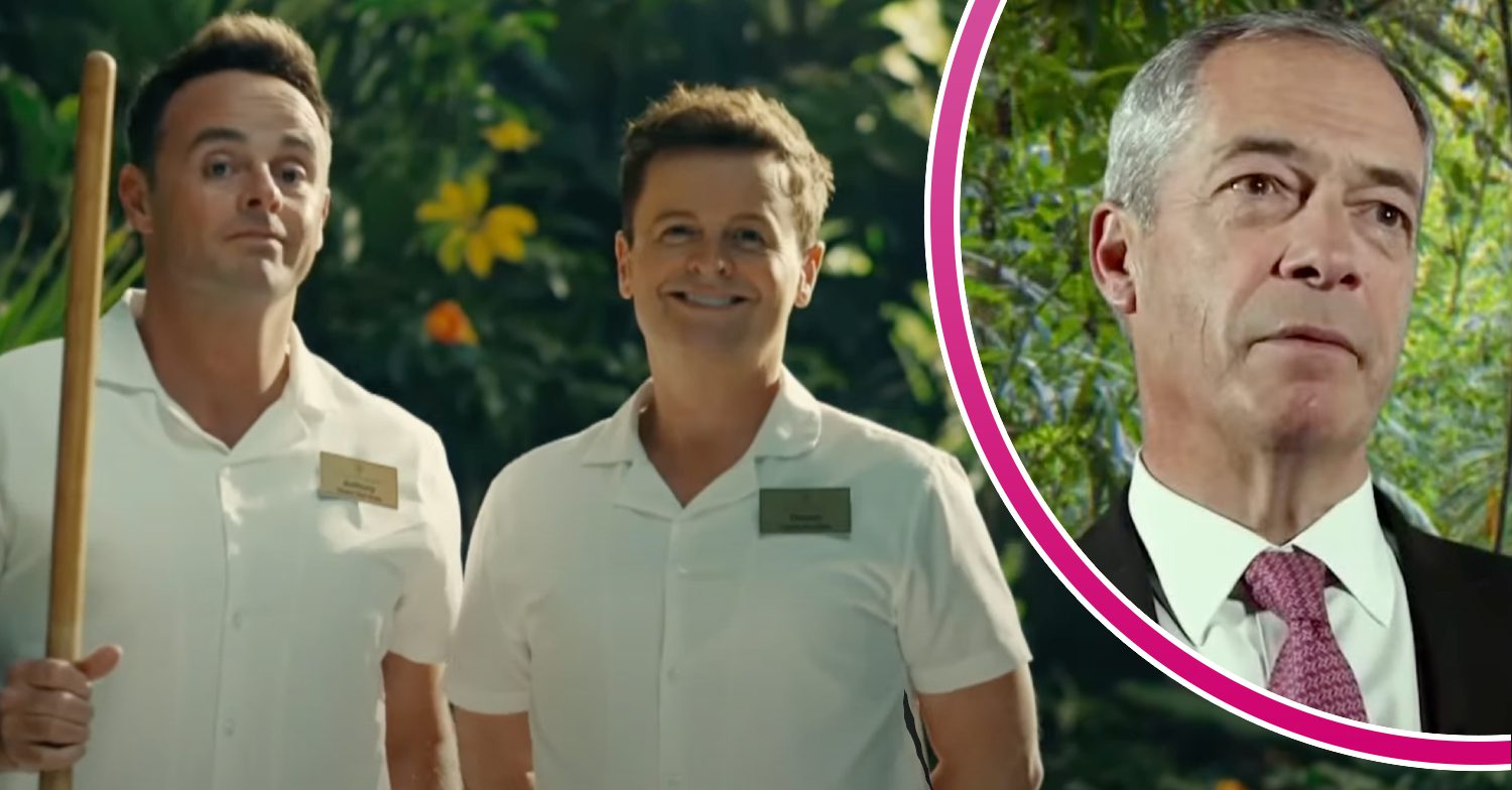 Ant and Dec/Nigel Farage split image