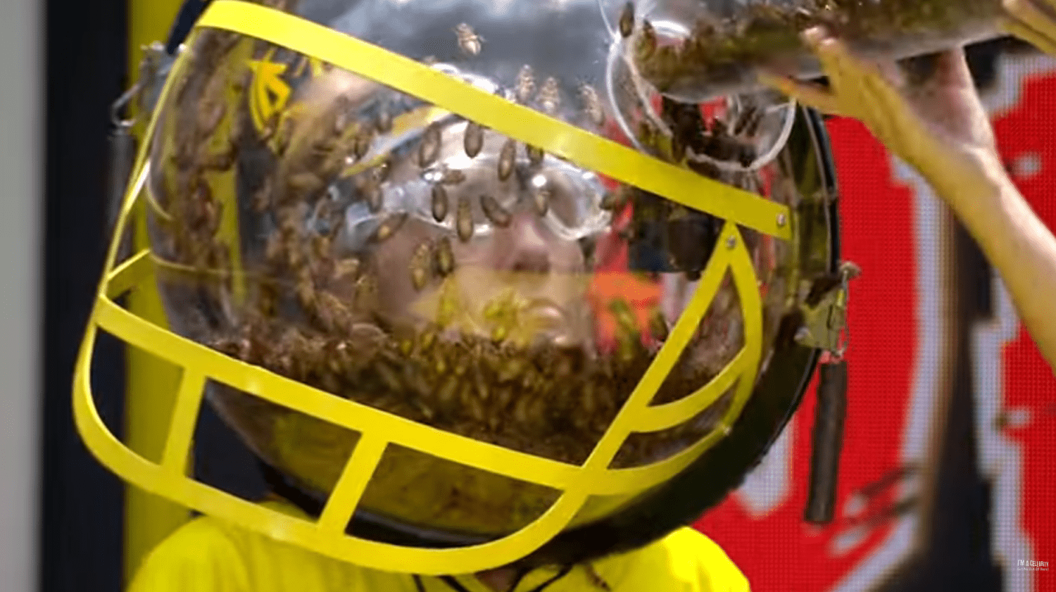 Grace Dent wears a bug filled helmet on I'm A Celeb