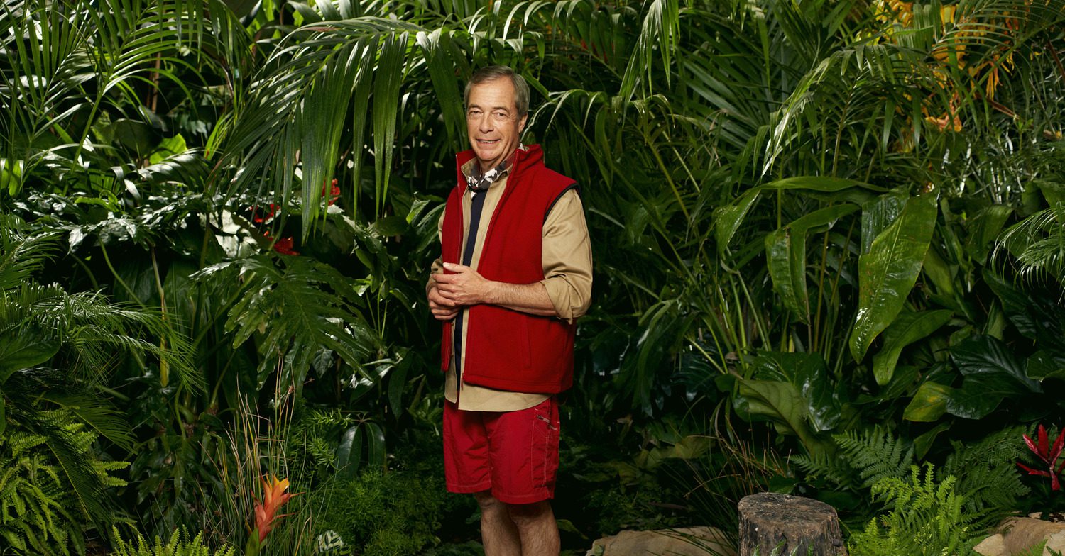 Nigel Farage smiling