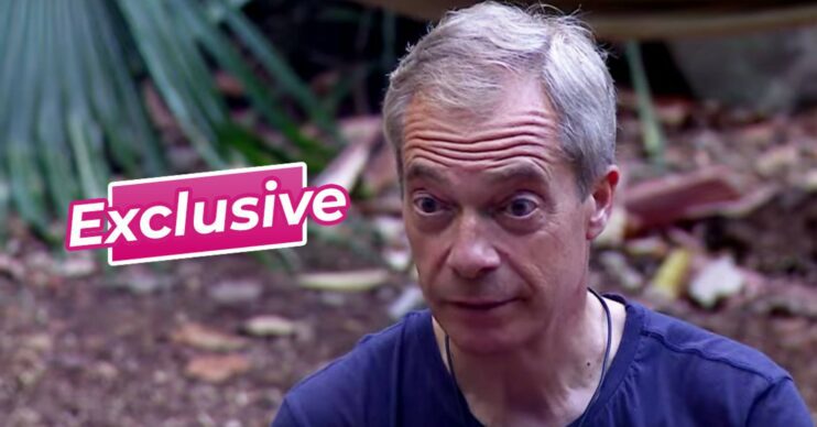 Nigel Farage looks worried