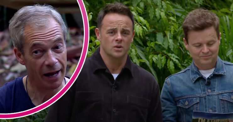 Nigel Farage and Ant and Dec split image