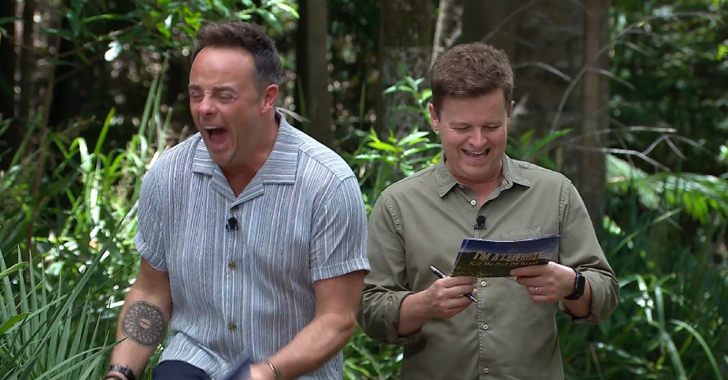 Ant and Dec laughing on I'm A Celebrity