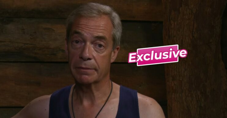 Nigel Farage on I'm A Celebrity