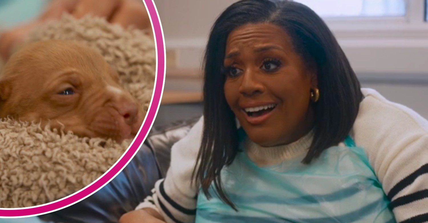 Alison Hammond looking happy alongside puppy in For the Love of Dogs