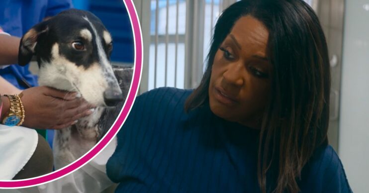 Alison Hammond looking emotional on For the Love of Dogs
