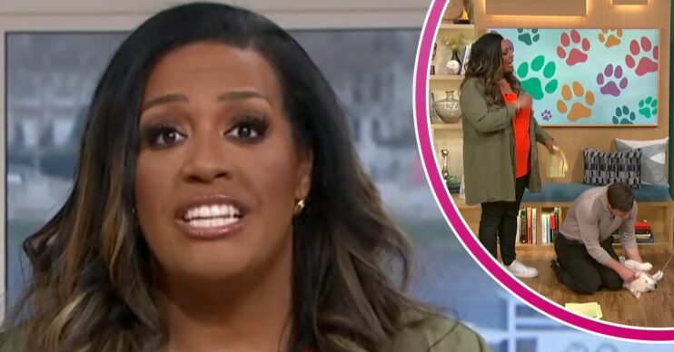 Alison Hammond speaking to camera and inset with Dermot and Buddy the dog