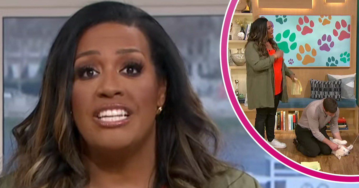 Alison Hammond speaking to camera and inset with Dermot and Buddy the dog