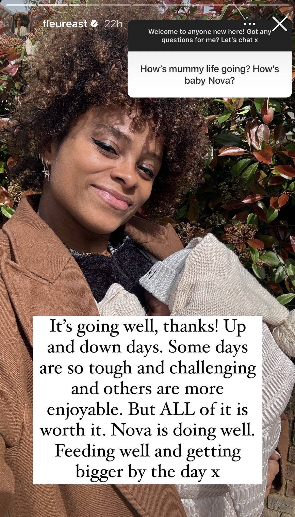 Fleur East Instagram Story