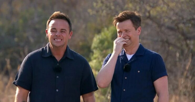 Ant and Dec wincing during I'm A Celebrity South Africa