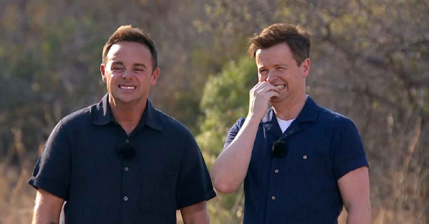 Ant and Dec wincing during I'm A Celebrity South Africa