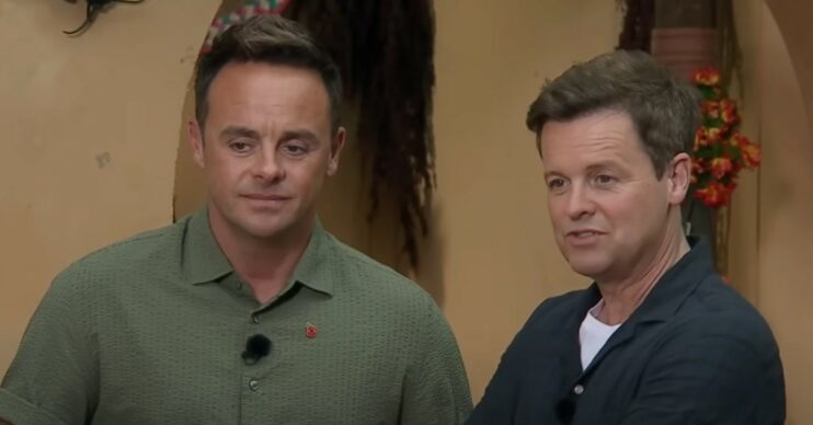 Ant and Dec on I'm A Celebrity on ITV