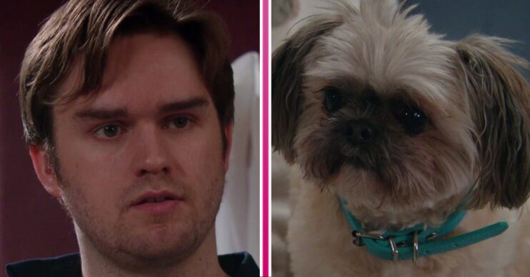 Emmerdale character Tom looks serious, Piper looks forward