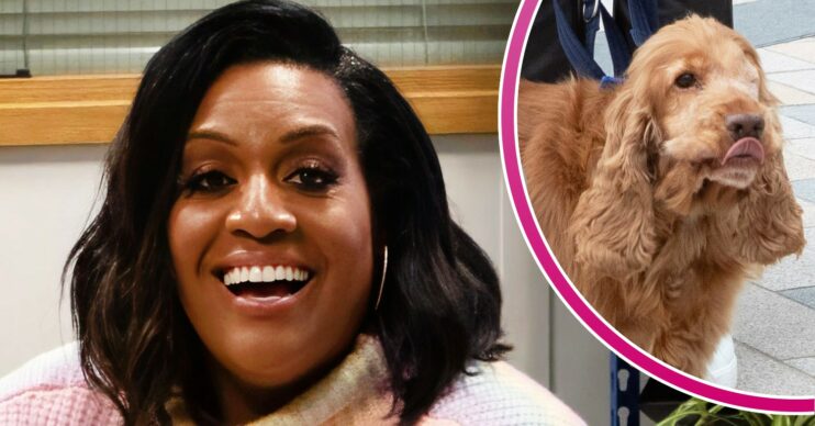 Alison Hammond smiles in a comp image with a dog (Credit: ITV/Comp ED!)