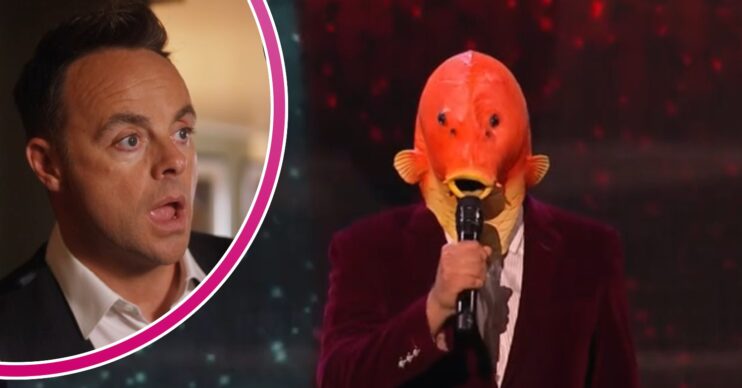 Ant McPartlin looking shocked on Britain's Got Talent tonight / Bobby Goldfinn speaking into a mic