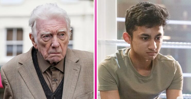 Composite image of Stevie and Nugget on EastEnders (Credit: BBC/Composite: ED!)