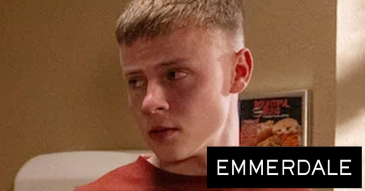 Emmerdale's Samson and the soap logo