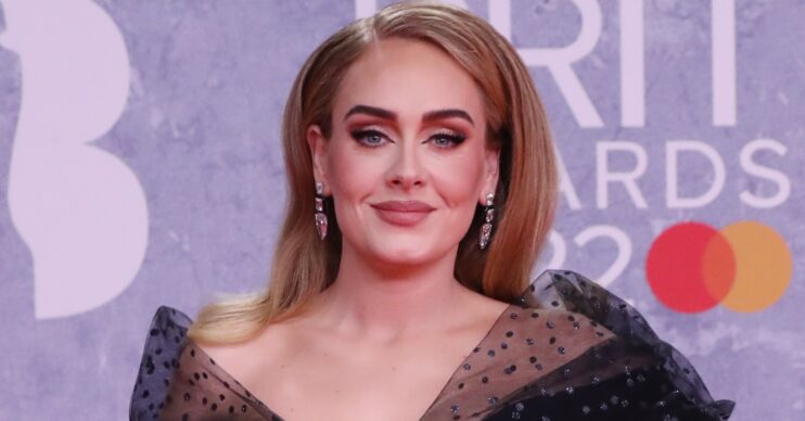 Adele smiling on the red carpet