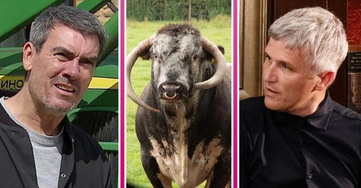 Emmerdale's Cain, a bull, Caleb