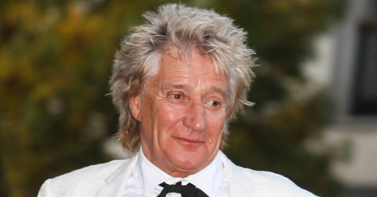 Rod Stewart smiles