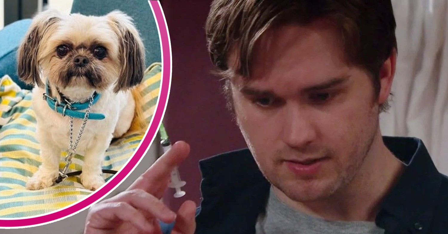 Tom holding a syringe on Emmerdale; inset, Piper looking cute (Credit: ITV/Composite: ED!)