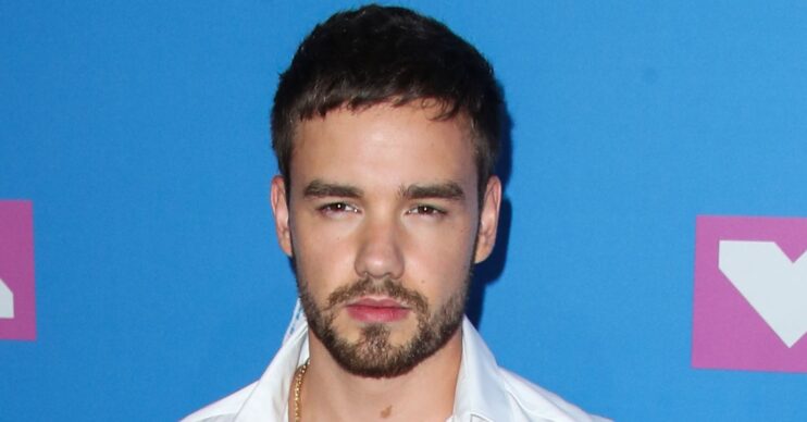Liam Payne posing at VMAs event