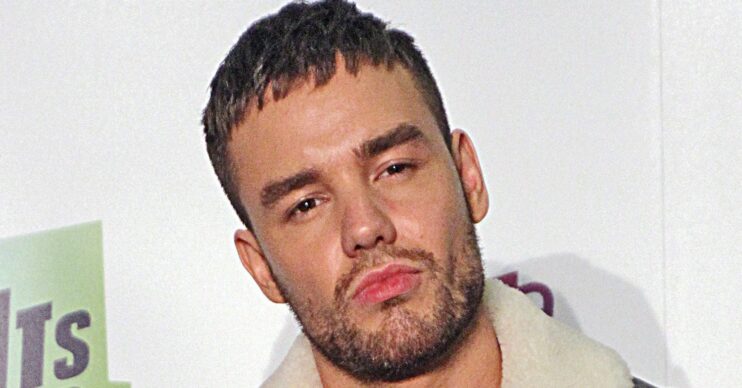 Liam Payne pouting