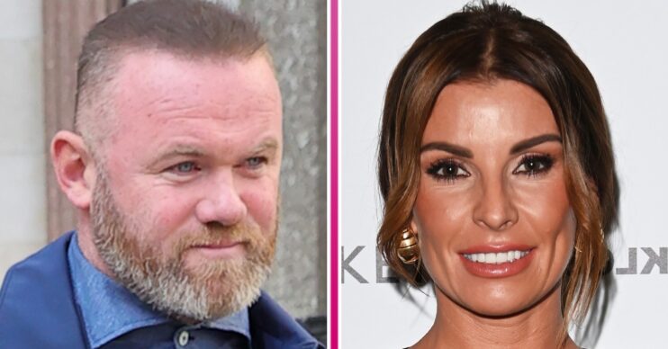 Wayne Rooney and wife Coleen separated by a pink line