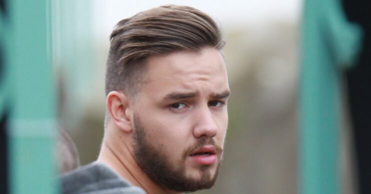 Liam Payne looking over his shoulder