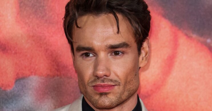 Liam Payne on the red carpet