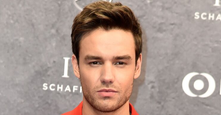 Liam Payne on the red carpet