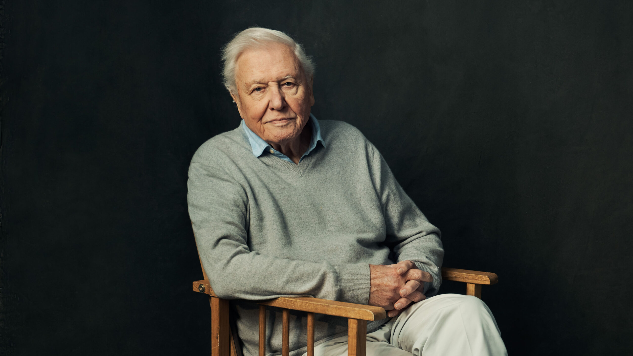 David Attenborough sitting in a chair