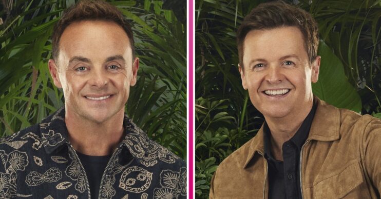 ED composite of Ant & Dec posing in the I'm A Celebrity jungle