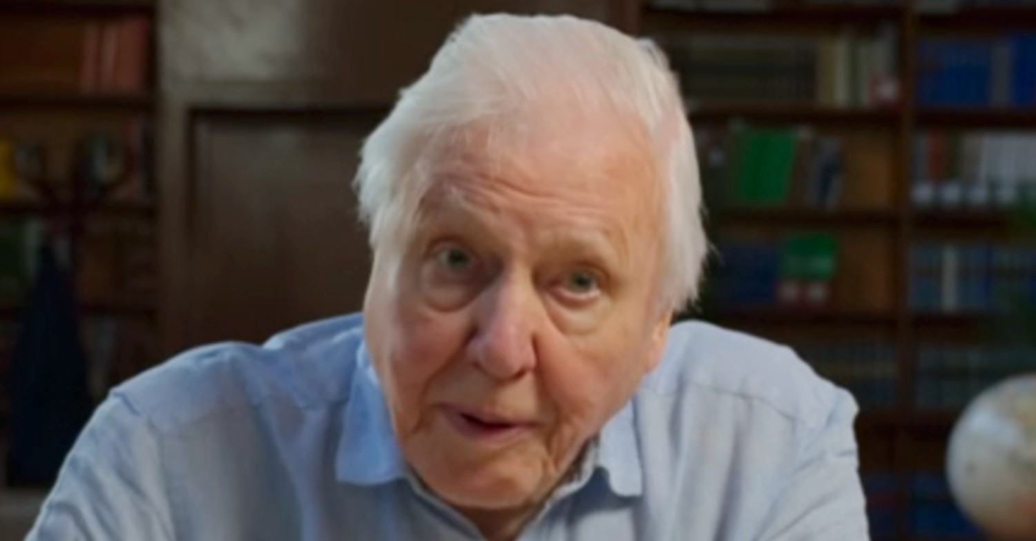 Sir David Attenborough talking to camera in a blue shirt