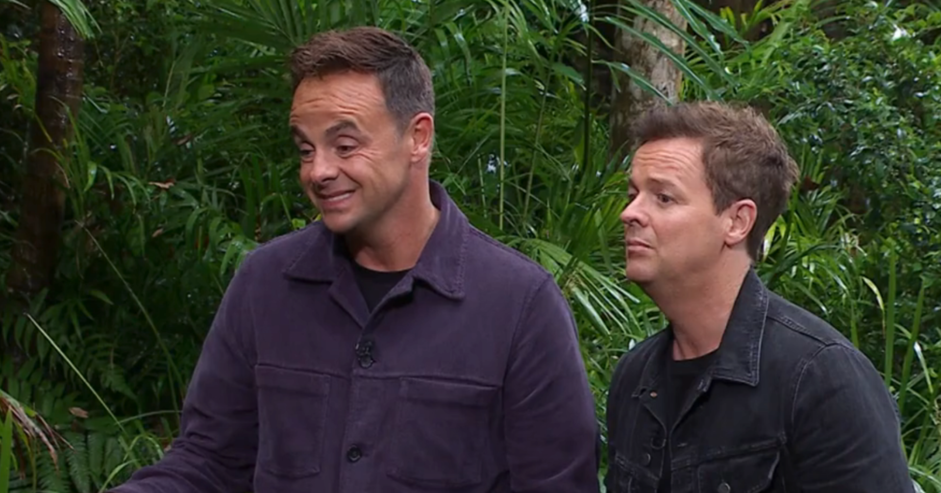 Ant and Dec in the I'm A Celebrity jungle