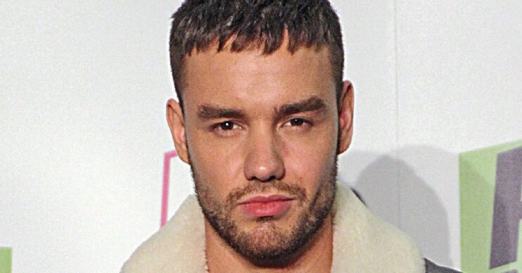Liam Payne on a red carpet