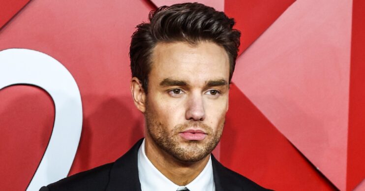 Liam Payne posing in suit at event