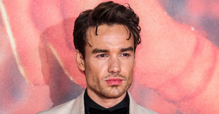 Liam Payne posing at event with pink background