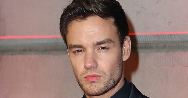 Liam payne on a red carpet
