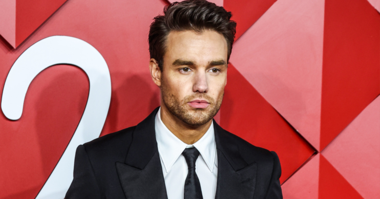 Liam Payne on the red carpet
