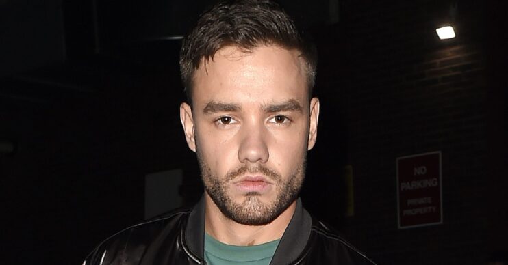 Liam Payne facing the camera dressed in black jacket and green t-shirt